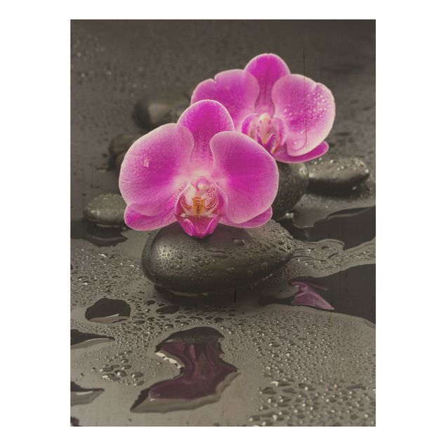 Trätavlor blommor  Pink Orchid Flower On Stones With Drops