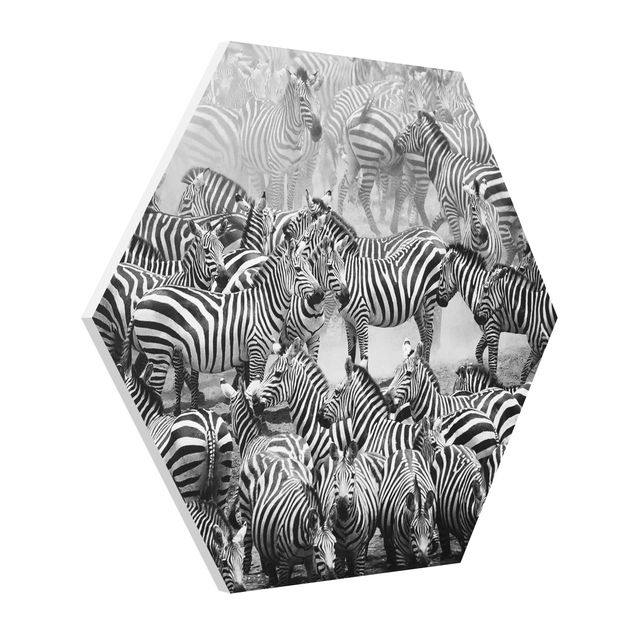 Tavlor modernt Zebra herd II