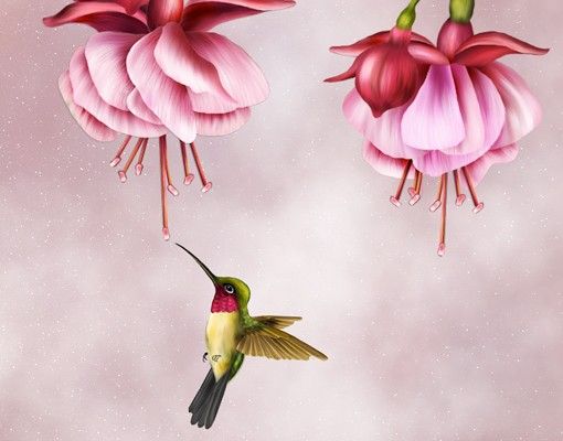 Självhäftande folier Hummingbird