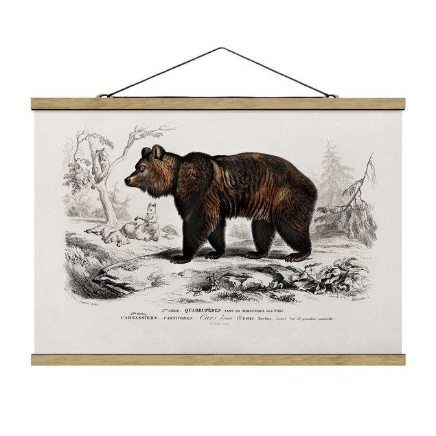 Tavlor vintage Vintage Board Brown Bear