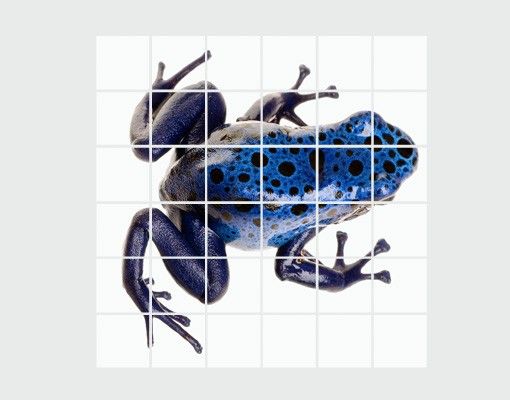 Kakel klistermärken blå Blue Frog