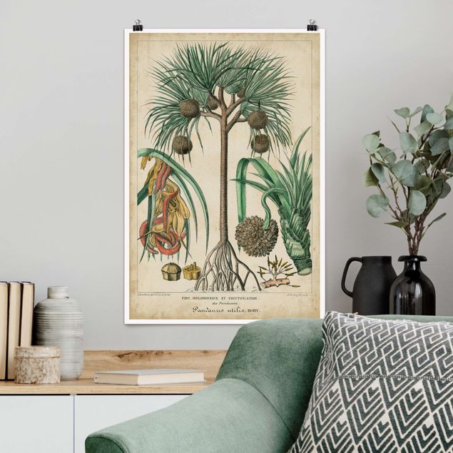 Kök dekoration Vintage Board Exotic Palms I