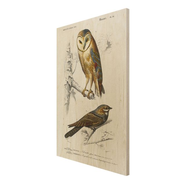 Tavlor Vintage Board Owl And Swallow