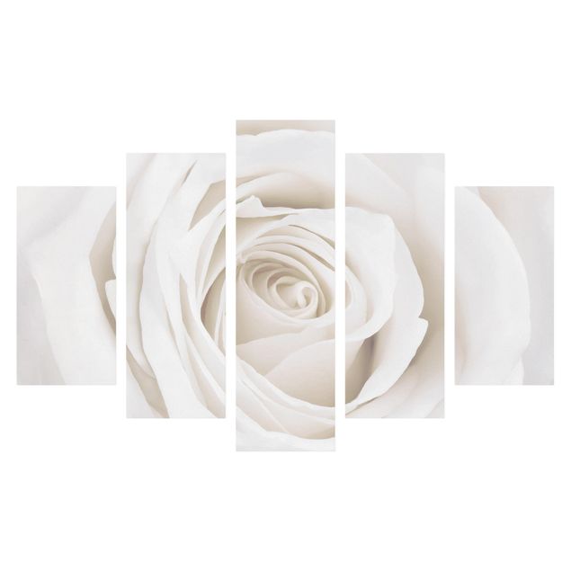 Canvastavlor blommor  Pretty White Rose