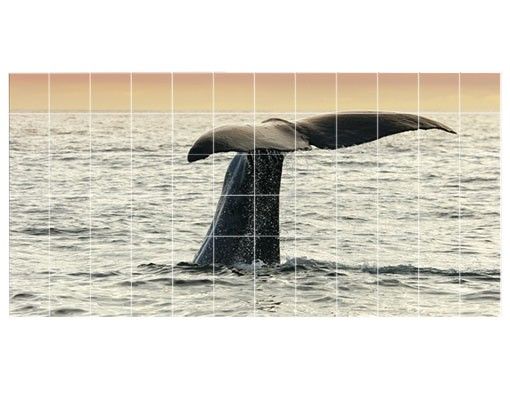 Kakel klistermärken Diving Whale