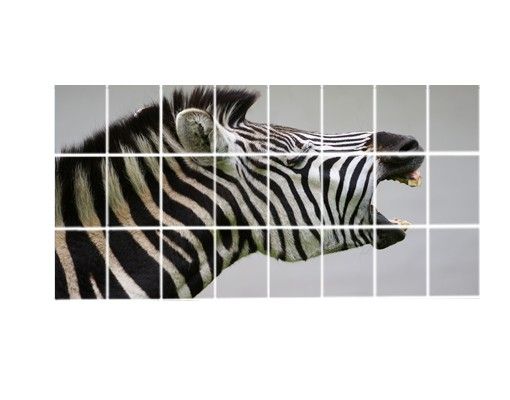 Kakel klistermärken Roaring Zebra