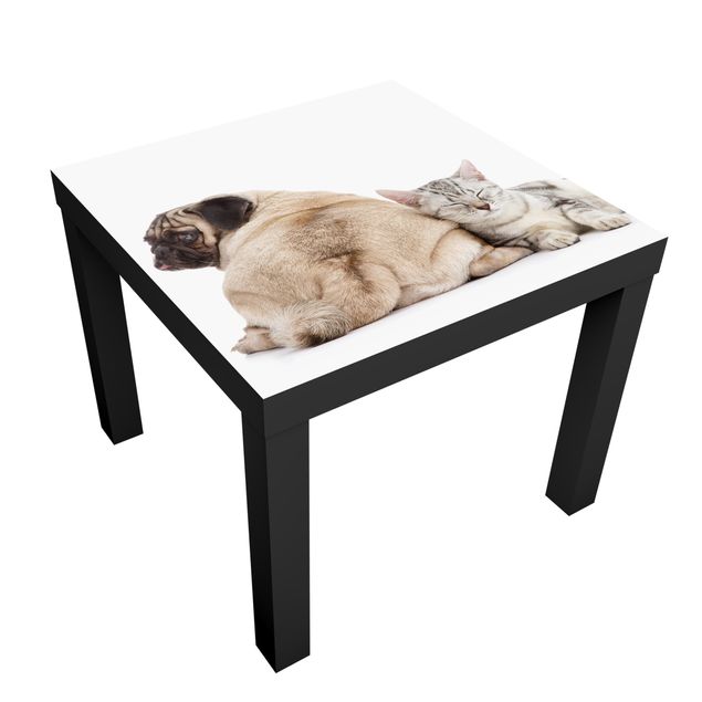 Möbelfolie für IKEA Lack - Klebefolie No.424 Möpschen und Kätzchen