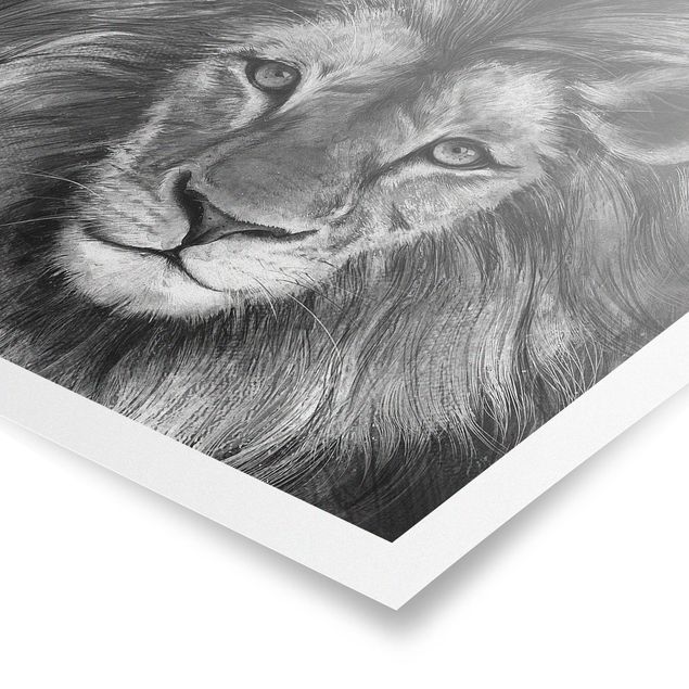 Posters djur Illustration Lion Monochrome Painting