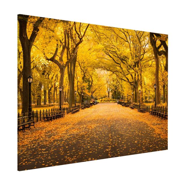 Kök dekoration Autumn In Central Park