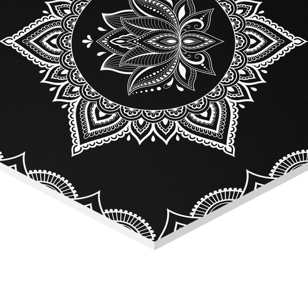 Tavlor Lotus OM Illustration Set Black