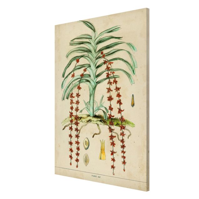 Tavlor blommor Vintage Board Exotic Palms IV