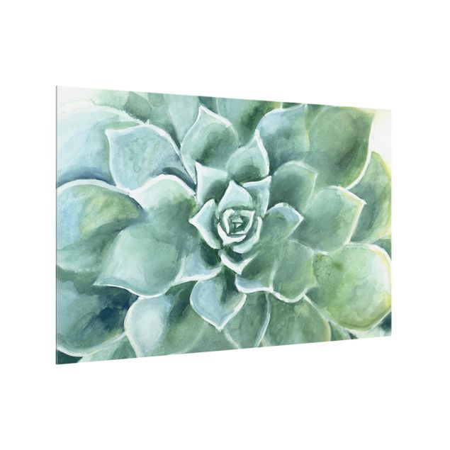 glasskivor kök Succulent Watercolor Dark