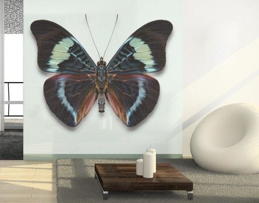 Kök dekoration Lepidoptera