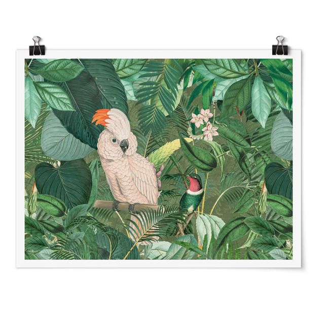 Posters konstutskrifter Vintage Collage - Kakadu And Hummingbird