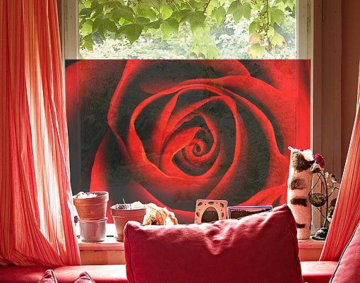 Kök dekoration Lovely Rose