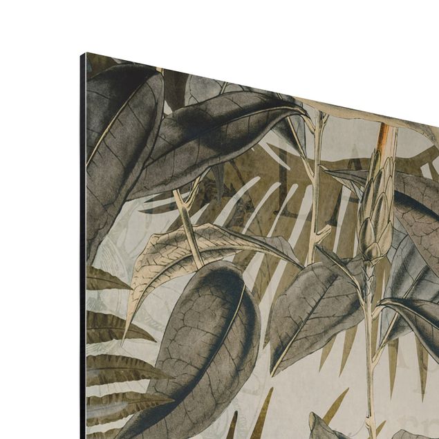 Tavlor konstutskrifter Vintage Collage - Toucan In The Jungle