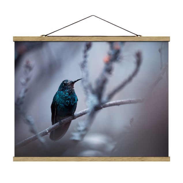 Tavlor djur Hummingbird In Winter