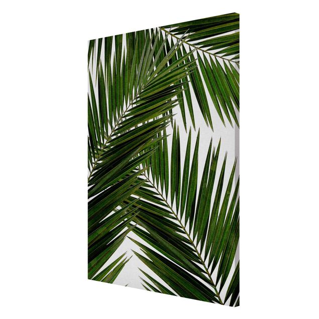 Magnettavla blommor  View Through Green Palm Leaves