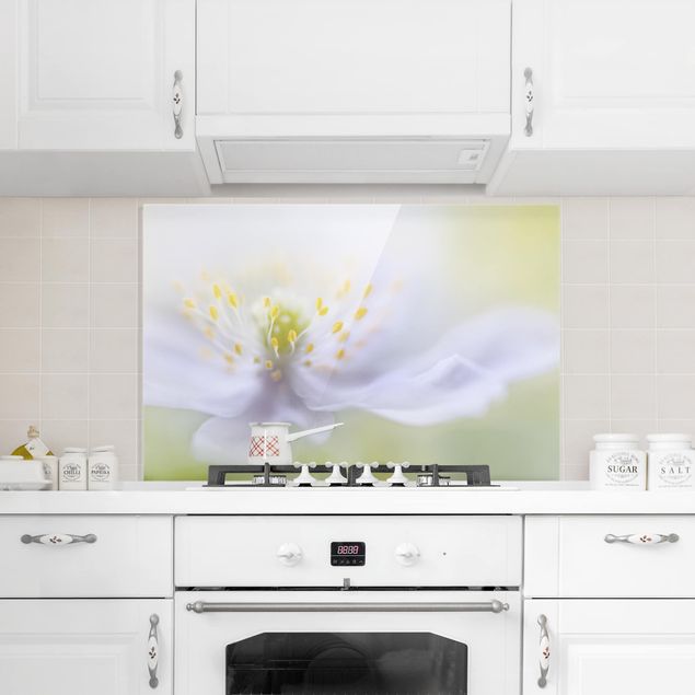 Stänkskydd kök glas blommor  Anemone Beauty