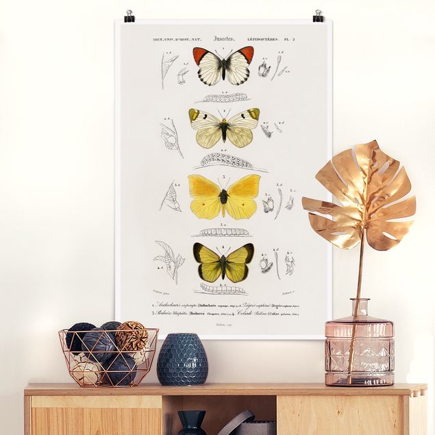 Kök dekoration Vintage Board Butterflies II