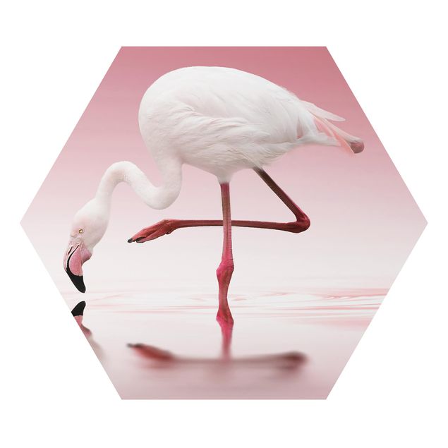 Tavlor rosa Flamingo Dance