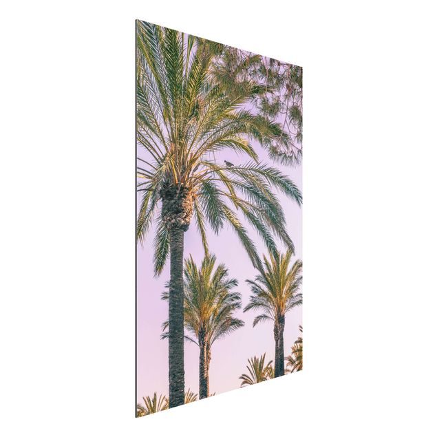 Kök dekoration Palm Trees At Sunset