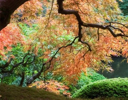 Självhäftande folier Japanese Garden