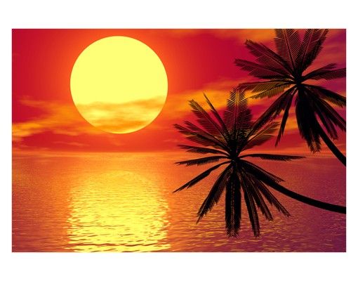 Självhäftande folier Caribbean sunset
