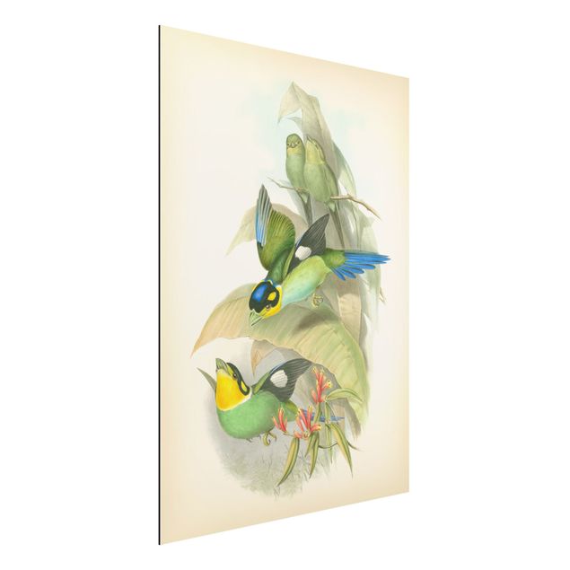 Kök dekoration Vintage Illustration Tropical Birds