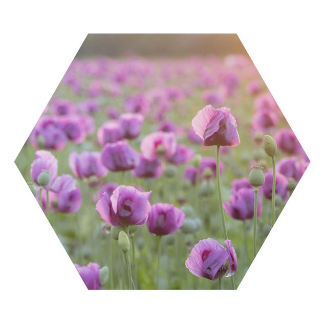 Tavlor modernt Purple Poppy Flower Meadow In Spring