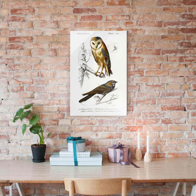 Glastavlor djur Vintage Board Owl And Swallow