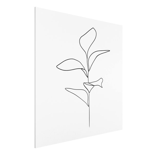 Konststilar Line Art Plant Leaves Black And White