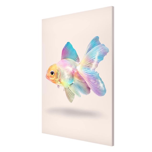 Magnettavla djur Fish In Pastel