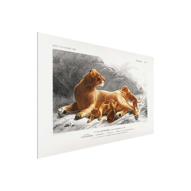 Glastavlor landskap Vintage Board Lioness And Lion Cubs