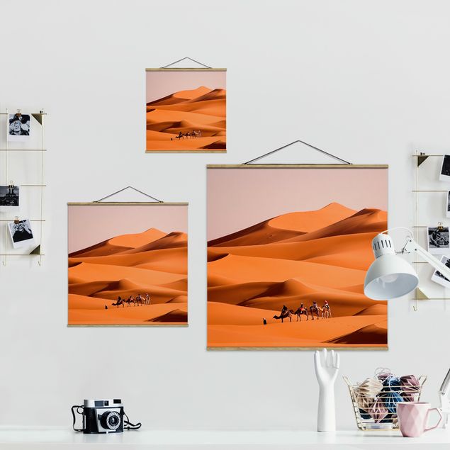 Tavlor orange Namib Desert