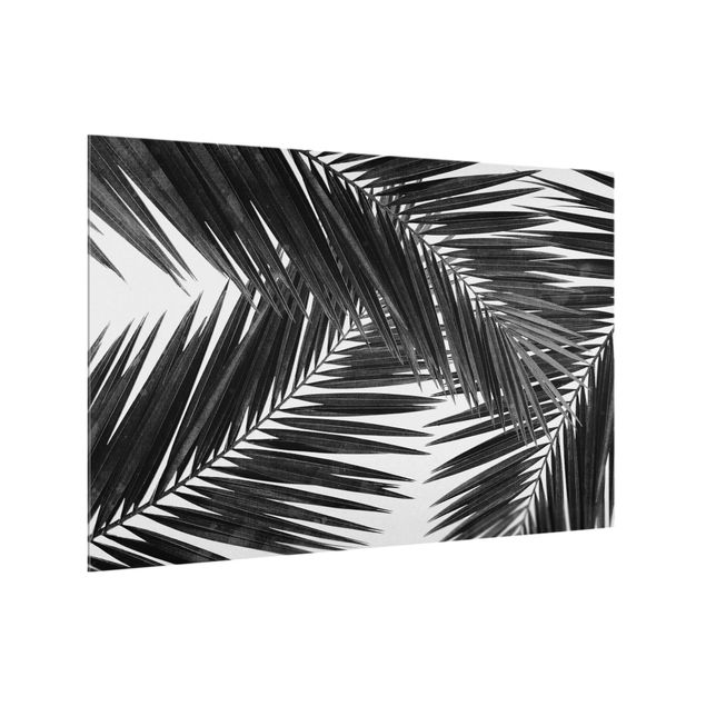 glasskiva kök View Over Palm Leaves Black And White