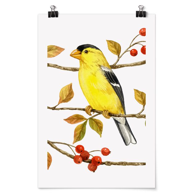 Tavlor modernt Birds And Berries - American Goldfinch