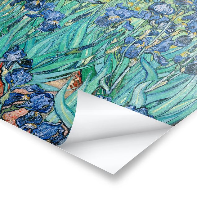 Posters blommor  Vincent Van Gogh - Iris