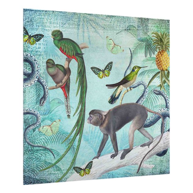Tavlor Andrea Haase Colonial Style Collage - Monkeys And Birds Of Paradise