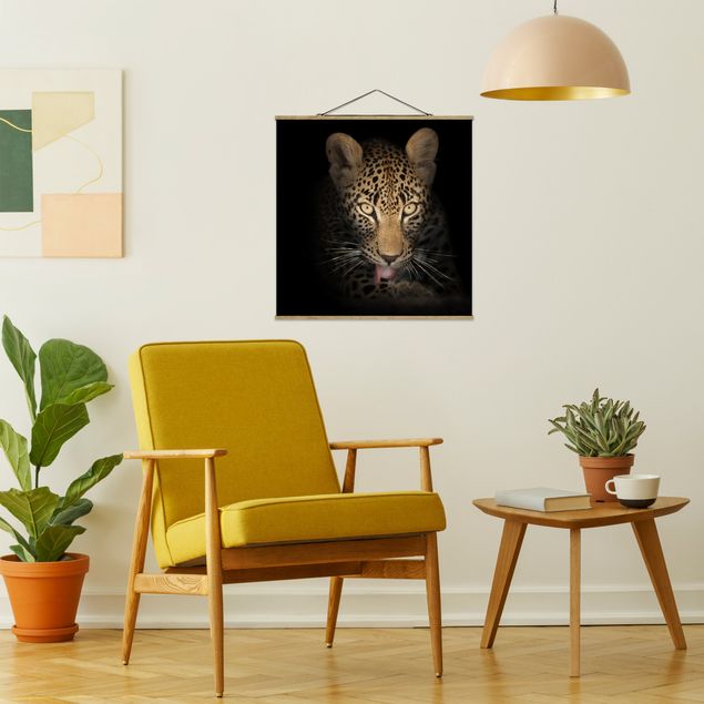 Tavlor porträtt Resting Leopard