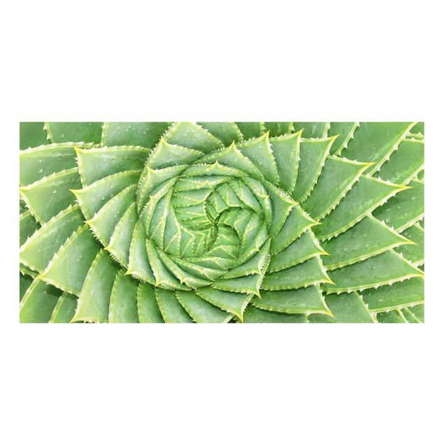 glasskiva kök Spiral Aloe