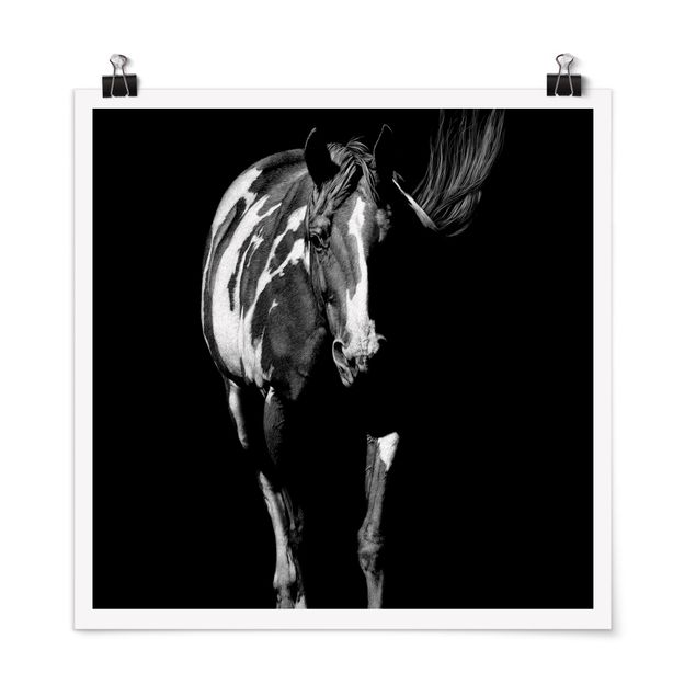 Posters svart och vitt Horse In The Dark