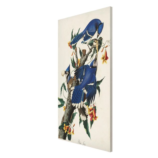 Tavlor blommor Vintage Board Blue Jays