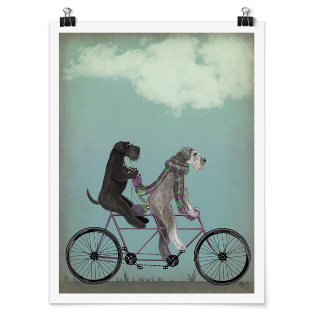 Posters vintage Cycling - Schnauzer Tandem
