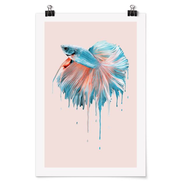 Posters djur Melting Fish