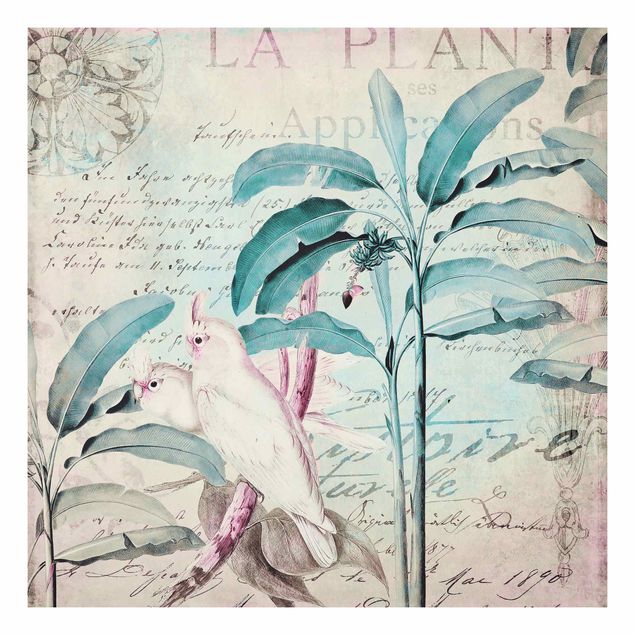 Tavlor blommor Colonial Style Collage - Cockatoos And Palm Trees
