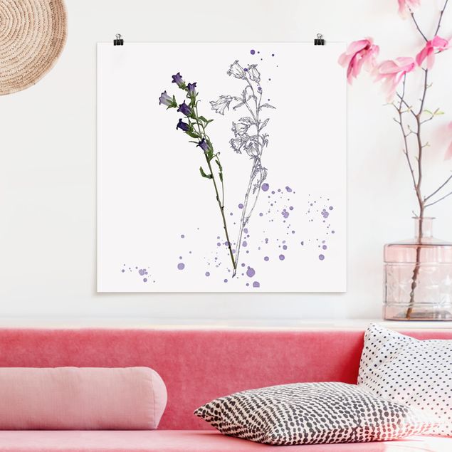 Posters blommor  Botanical Watercolour - Bellflower