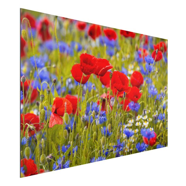 Tavlor vallmor Summer Meadow With Poppies And Cornflowers