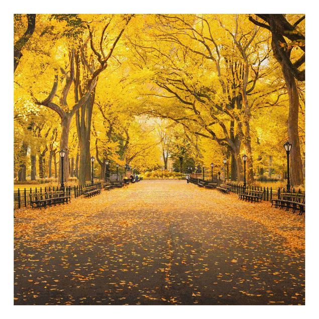 Tavlor New York Autumn In Central Park