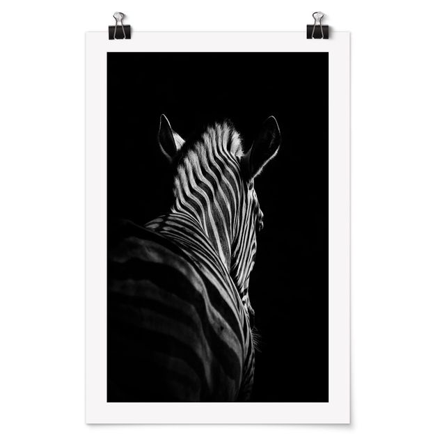 Posters djur Dark Zebra Silhouette